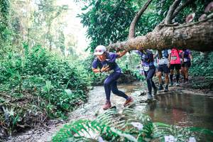 BIB: 
                            <button type="button" onclick="openModal(25463323)" class="btn btn-primary btn-sm float-right btn-popup" data-toggle="modal" data-target=".modal-high-quality">
                        <i class="fas fa-shopping-cart"></i> Add to Cart
                    </button>
                                            <button type="button" onclick="isThisMe(25463323, true)" class="btn btn-success btn-sm float-right btn-popup btn-isme hidden" data-toggle="tooltip" data-placement="bottom" title="นี่คือรูปของคุณใช่ไหม คลิกที่นี่เพื่อเอาเข้าอัลบั้ม">
                        <i class="fas fa-plus"></i> Add to album
                    </button>
                    <button type="button" onclick="isThisMe(25463323, false)" class="btn btn-warning btn-sm float-right btn-popup btn-isnotme hidden">
                        <i class="fas fa-ban"></i> Remove from album
                    </button>